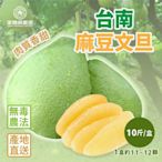【家購網嚴選】小熊柚園-麻豆老欉頂級文旦10台斤禮盒(約11~12顆)
