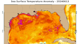 Tropical storm could form in the Gulf of Mexico next week