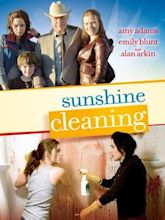 Sunshine Cleaning