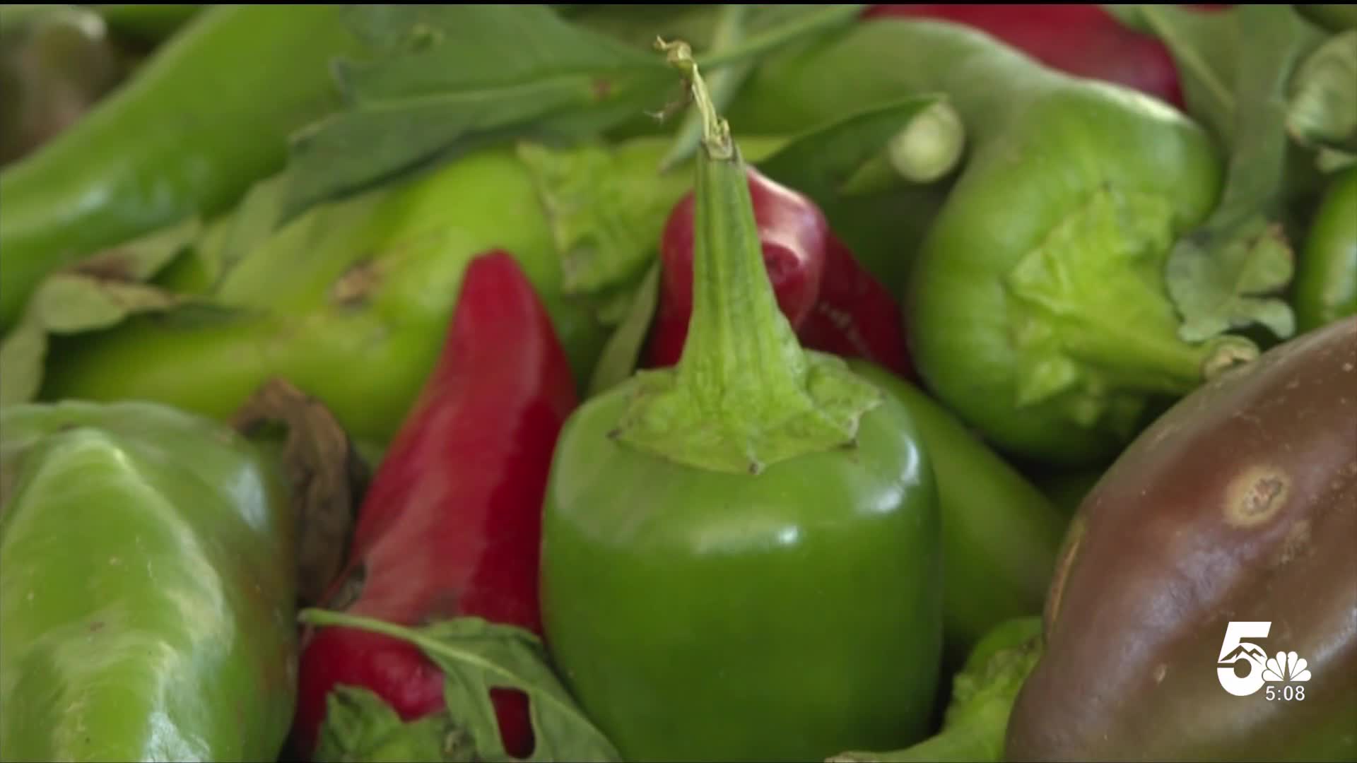 WATCH: Pueblo's chile season begins with planting, one farmer is confident this season