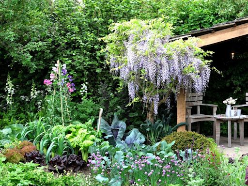 Everything you need to know about the Chelsea Flower Show 2024