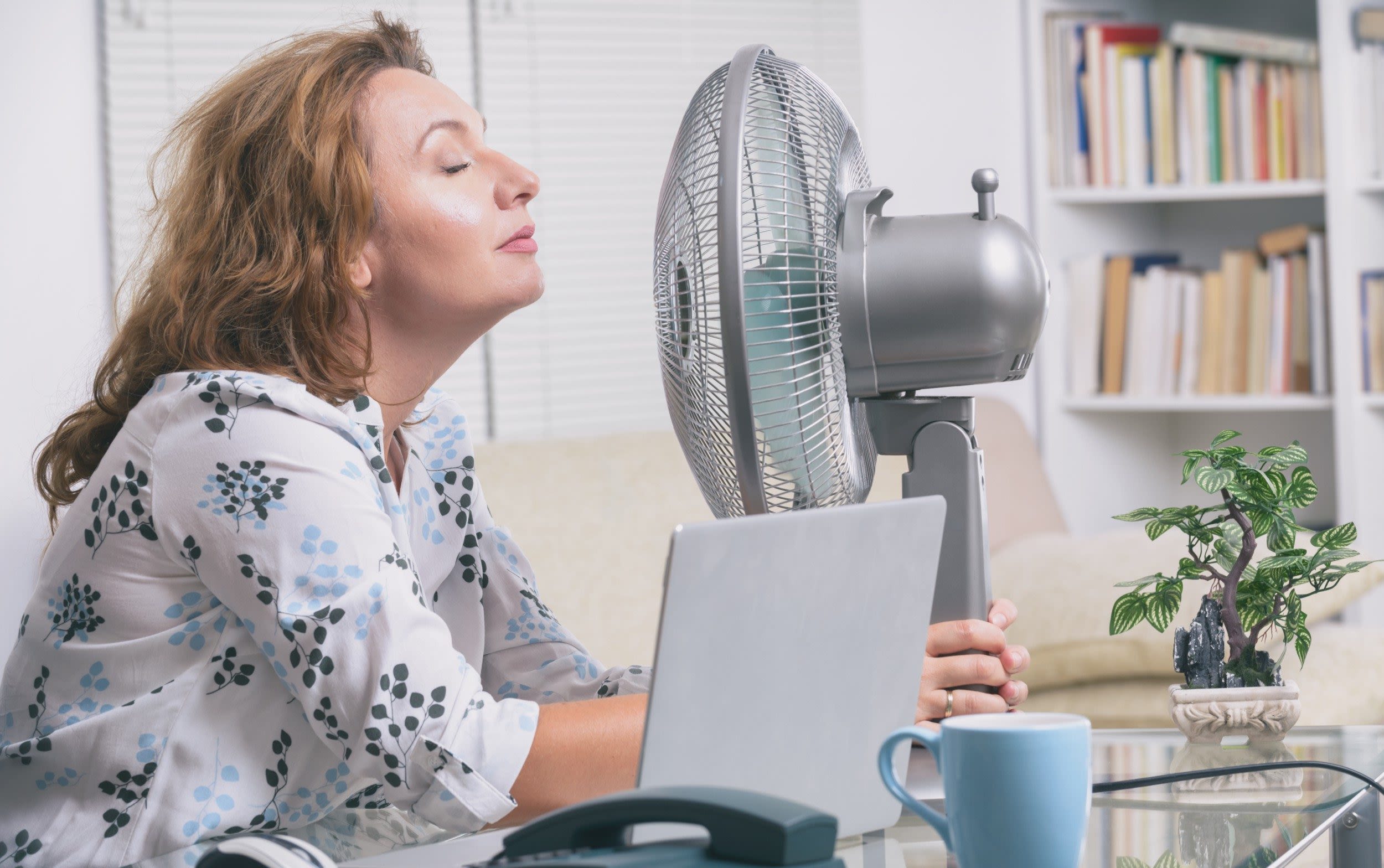 Keep bowls of water around the house to keep it cool, say experts