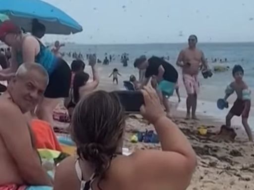 Video: Dragonfly swarm fills the sky like a ‘black cloud’ at a Rhode Island beach