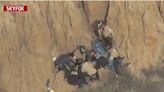 Cliff rescue at Torrey Pines State Beach caught on video