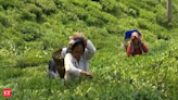 Assam based tea planters get into value chain of tea business