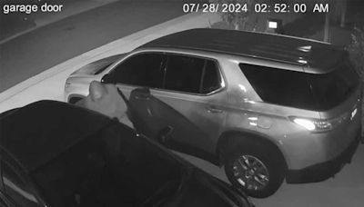 Multiple vehicles stolen in North Fort Myers neighborhood
