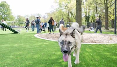 Cooper River Dog Park Opens