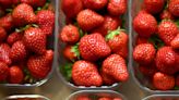 Frozen strawberries linked to a Hepatitis outbreak have been recalled. The reason is gross — and might be unavoidable.