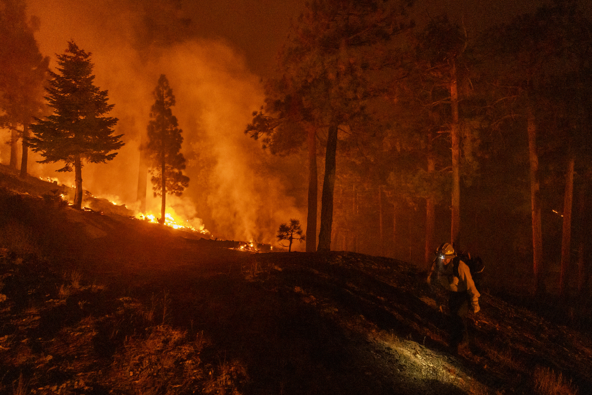 Video shows "heroic rescue" of man and his dog from California Airport Fire