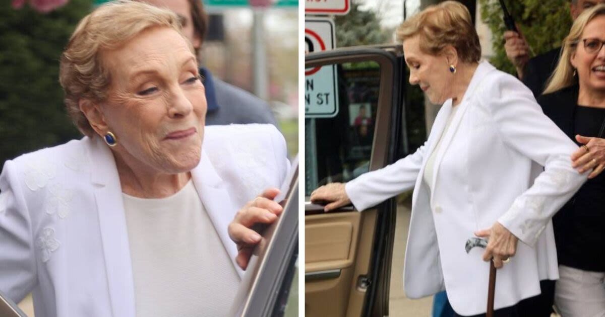 Hollywood legend Julie Andrews makes rare public appearance with walking stick