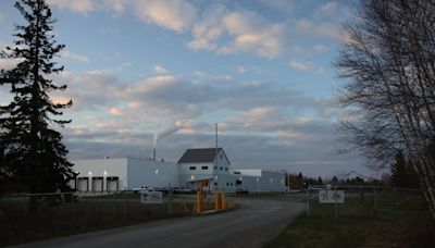 New Brunswick seafood plant shutting down after repeated complaints about unbearable stench