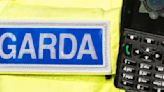 18 firearms seized as part of garda operation in Louth
