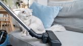 貓毛清潔方式有哪些？吸塵器、空氣清淨機、掃地機器人如何挑選？貓毛過敏又該怎麼辦？