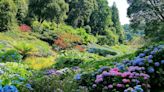 We visit the Cornish garden named among top ten best in the world