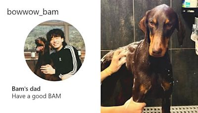 BTS柾國開通帥氣愛犬Bam的IG！一臉幸福的燦笑，驕傲炫耀：「我是Bam的爸爸～」