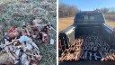 Game Warden Discovers 172 Illegally-Dumped Deer Legs, Guts, and Trash