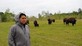 New PBS documentary features Menominee Nation reconnecting with the buffalo