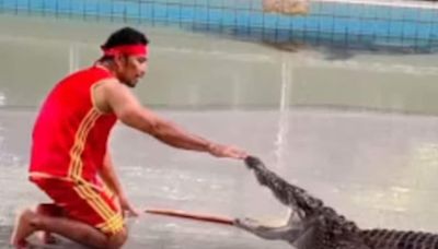 Stuntman Puts His Hand Inside Crocodile’s Mouth, And Then This Happened - News18