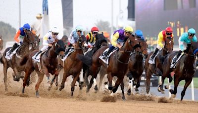 Dubai World Cup is 2024's most anticipated sporting event