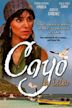 Cayo (film)