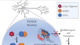 New cellular mechanisms in Parkinson's disease discovered