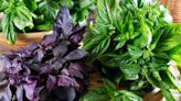 How To Make Fresh Basil Last, According to an Expert