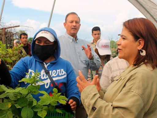 Es fundamental el Sistema Estatal de Cuidados y mejorar acceso a la salud de jornaleras agrícolas: Fabiola Alanís