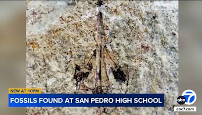 Prehistoric discovery revealed under San Pedro High School during construction project