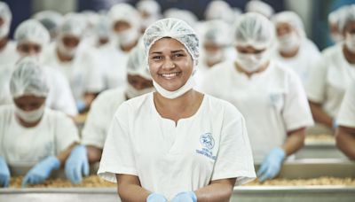 Castanhas da Amigos do Bem geram renda e financiam educação no sertão do Nordeste