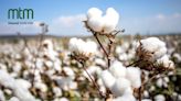 How Masood Textile Mills is Propelling Sustainable, Regenerative Cotton Cultivation