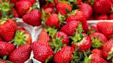 Esto es lo que pasa si comes fresas todos los días: increíbles beneficios