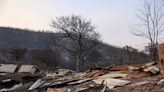 On a charred migrant trail, Greek firefighters find 19 bodies