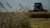 EU states agree ‘prohibitive’ tariffs on Russia grain imports | FOX 28 Spokane