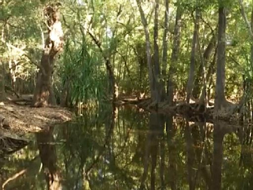 Australian rangers shoot 14ft crocodile that killed girl swimming in creek