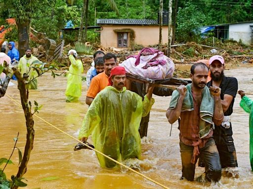 Kerala landslides: Experts say change in land-use, forest cover likely triggers