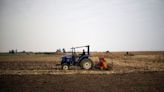 El "granero de China" afronta más lluvias perjudiciales para el trigo