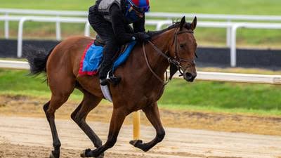 Preakness Stakes and Pimlico Race Course news- The Baltimore Banner