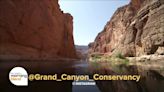 The Grand Canyon Conservancy | 5/31/24