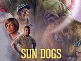 Sun Dogs (2017 film)