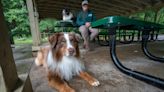 Patios and pets: Places where you (and your furry friend) can dine or drink outside