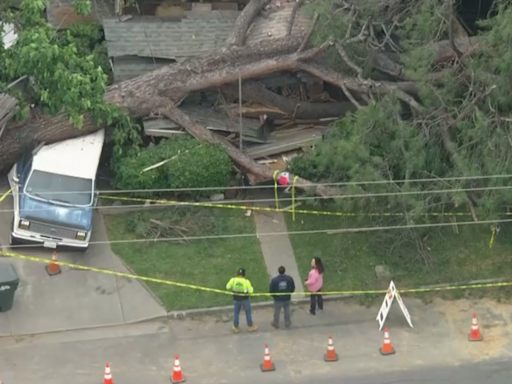 Huge tree falls over and crushes Monrovia home; no one injured