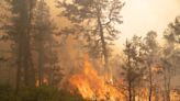 Hundreds of acres burn in New Jersey Pinelands at peak wildfire season, closing key road and trails