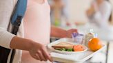 Free school meals auto-enrolment trial announced