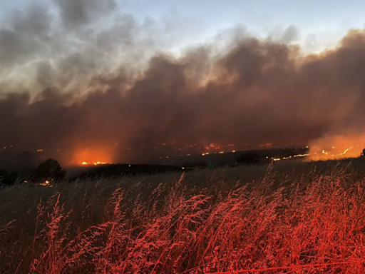 Gusty winds help spread fast growing central Oregon wildfire and prompt evacuations - Times of India