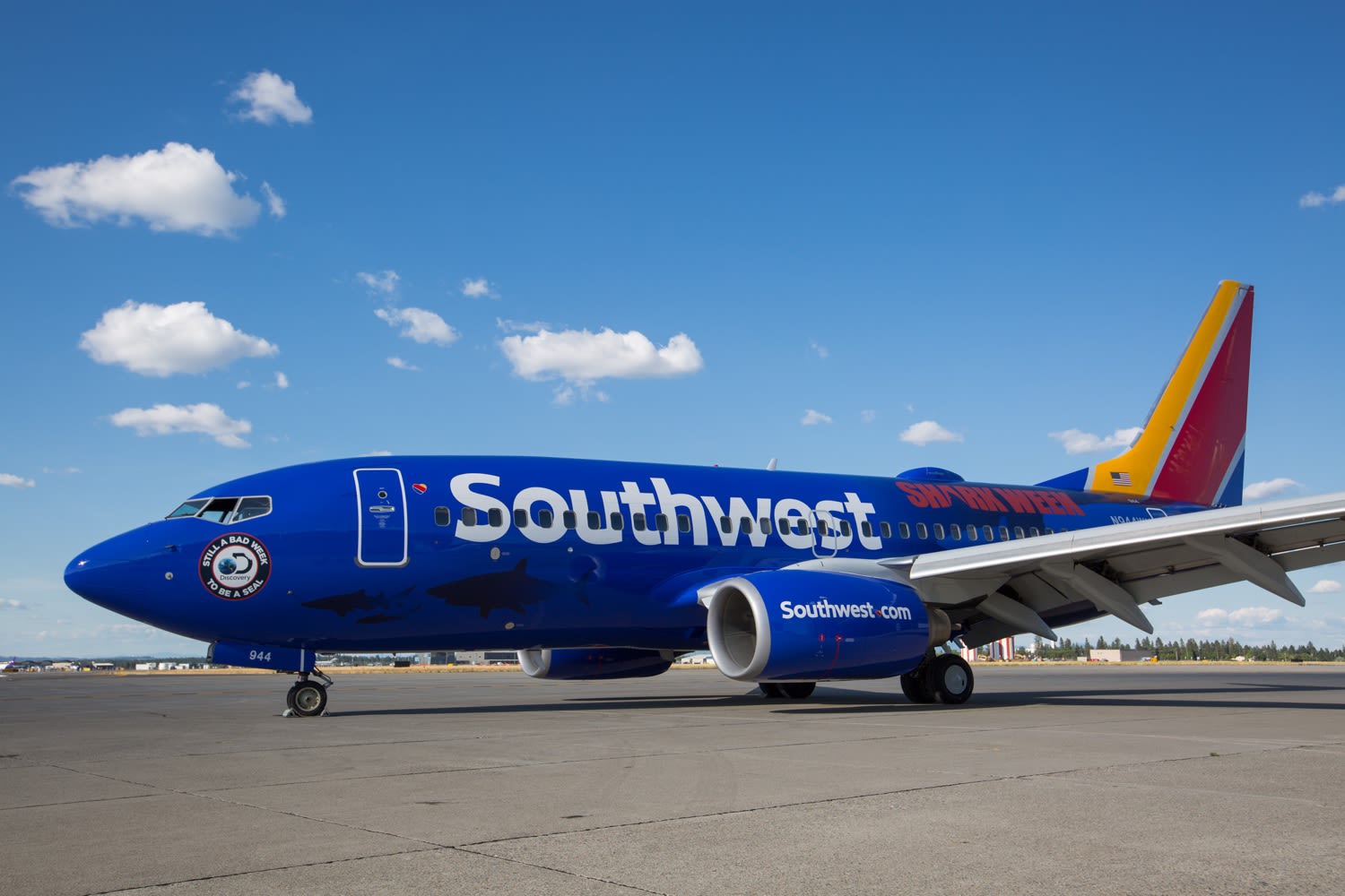 A Windows version from 1992 is saving Southwest’s butt right now