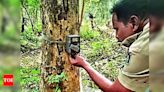 Camera trap chips extracted for leopard count | Bhubaneswar News - Times of India