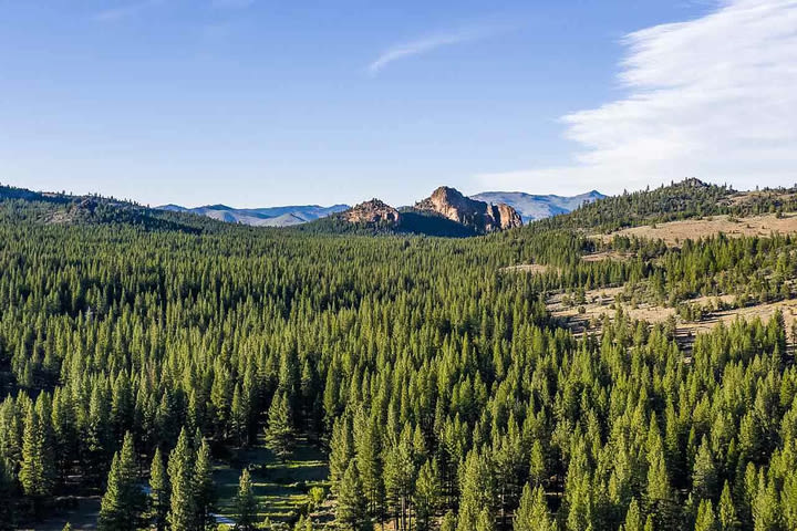 Netflix's 1,120-acre ranch near Tahoe shrouded in secrecy