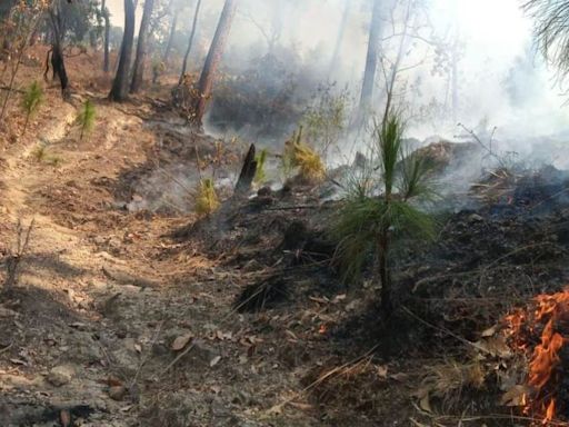 Reportan incendio en zona ecológica de Valle de Bravo