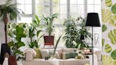 5 Things About Having a Plant Room These Pros Wish They'd Known Sooner