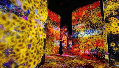 teamLab Borderless Digital Art Museum: World's Greatest Places 2024